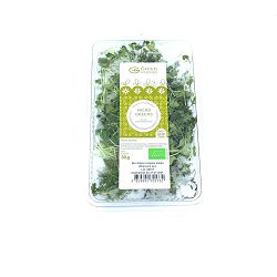 MIKROZELENJE - AZIJSKA SALATA
