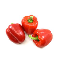 PAPRIKA COLOR CRVENA