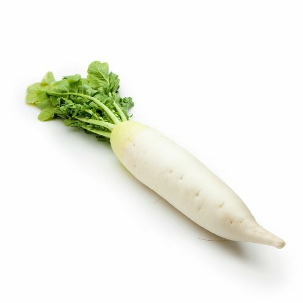 daikon-000037_1.jpg