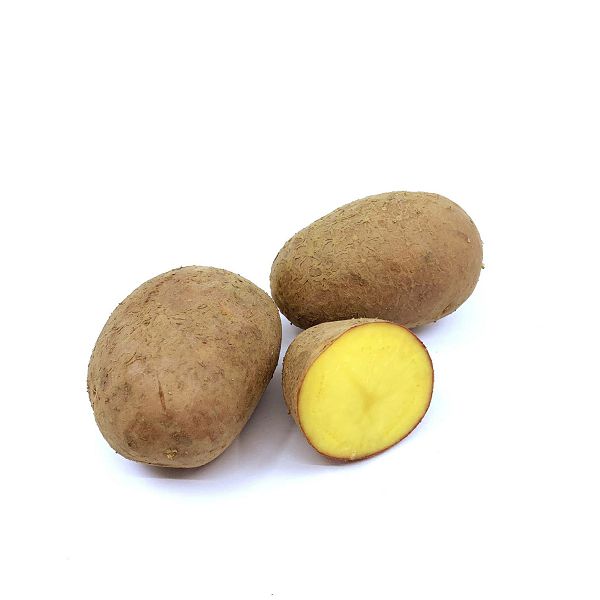 krumpir-crveni-000191_1.jpg