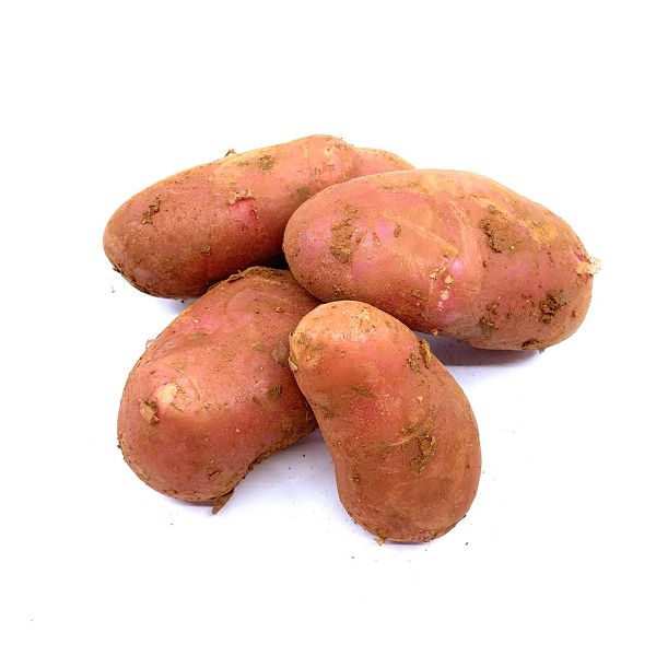 krumpir-mladi-crveni-000306_1.jpg